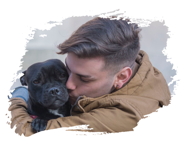 pet sitting team 1 pet sitting team 1