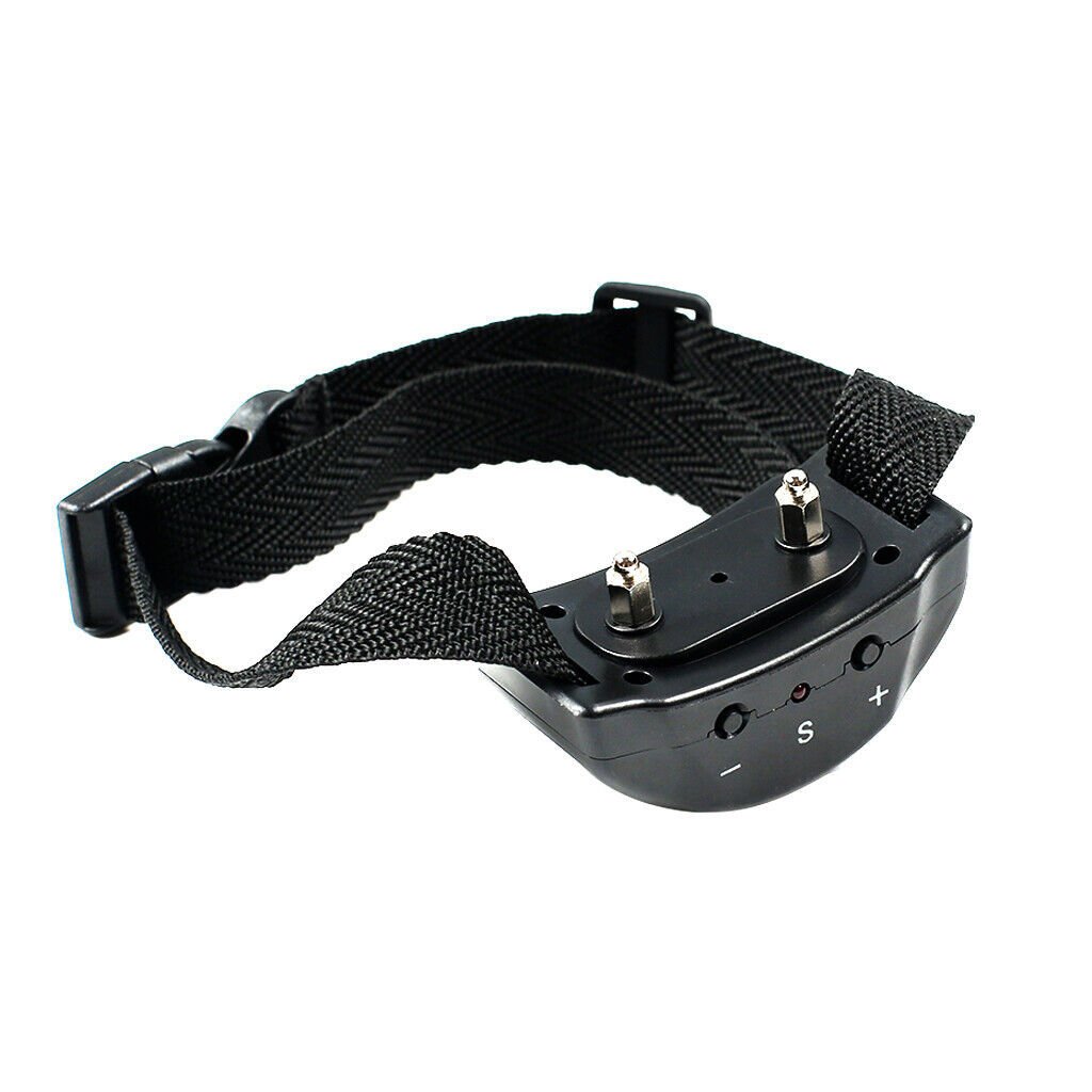 00fcaf9f 4b62 432c a41d c5a99d6a66b4.jpg 00fcaf9f 4b62 432c a41d c5a99d6a66b4.jpg