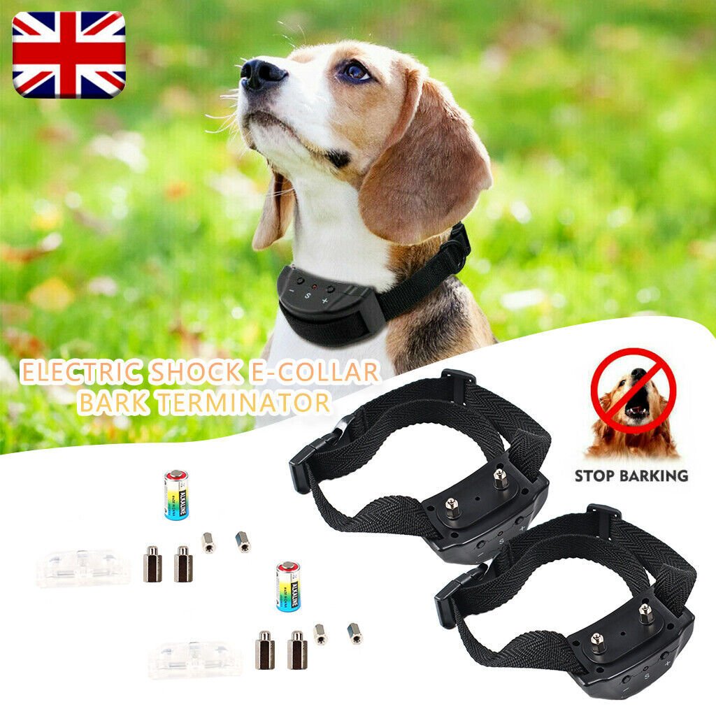 337a0d8b 567f 43b5 a6c0 38d39f767a4d.jpg 337a0d8b 567f 43b5 a6c0 38d39f767a4d.jpg