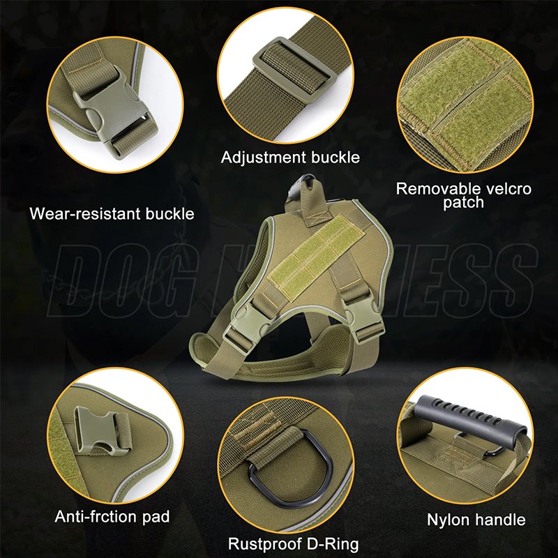 547289958 bb25c8b920445fbaa8800aa70f1c3908.jpeg