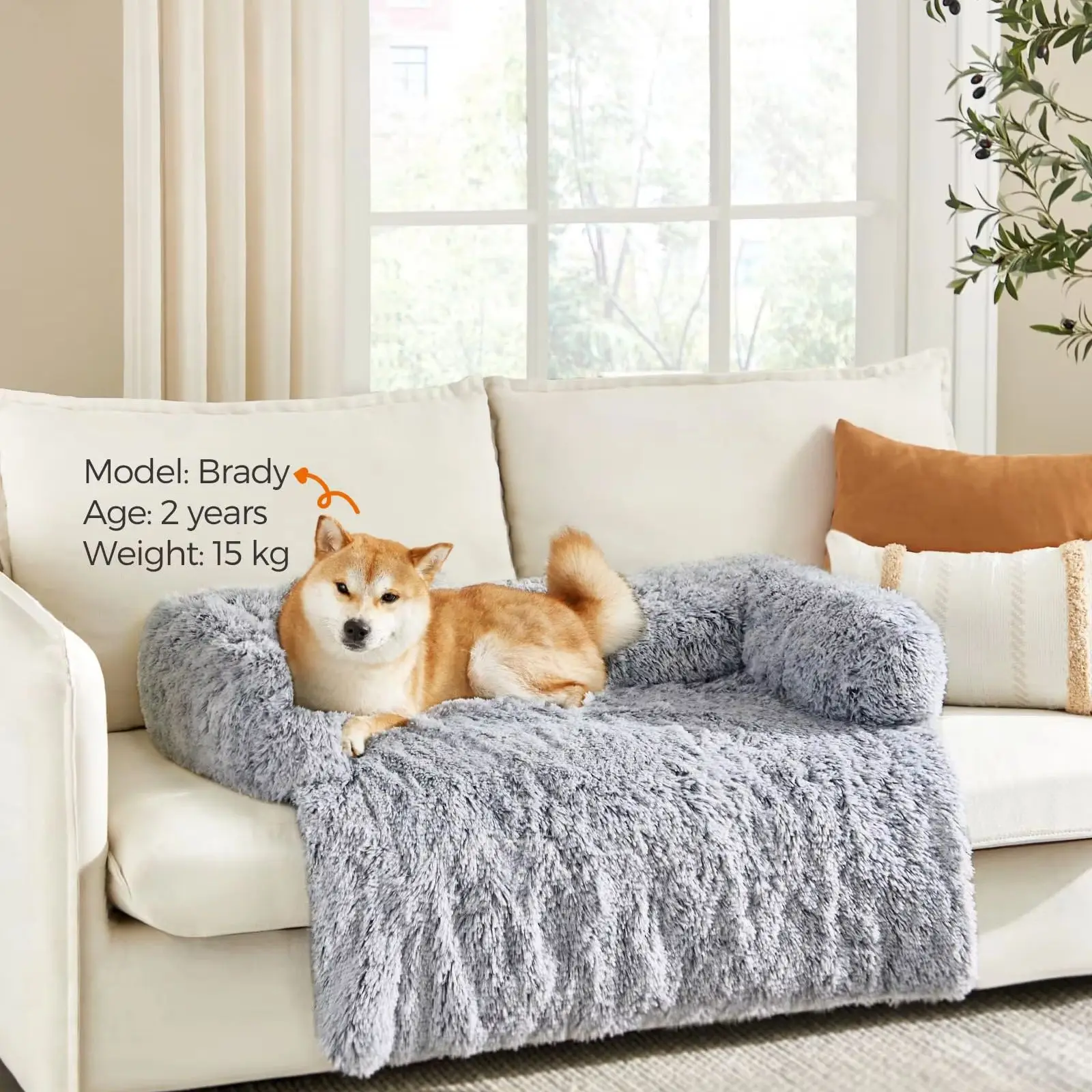 547315253 s6375ac8301f04a268000d86d45edfa85t.webp