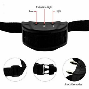 Home a20aa55c 7bb9 490d baa0 ea9c040f01ae.jpg