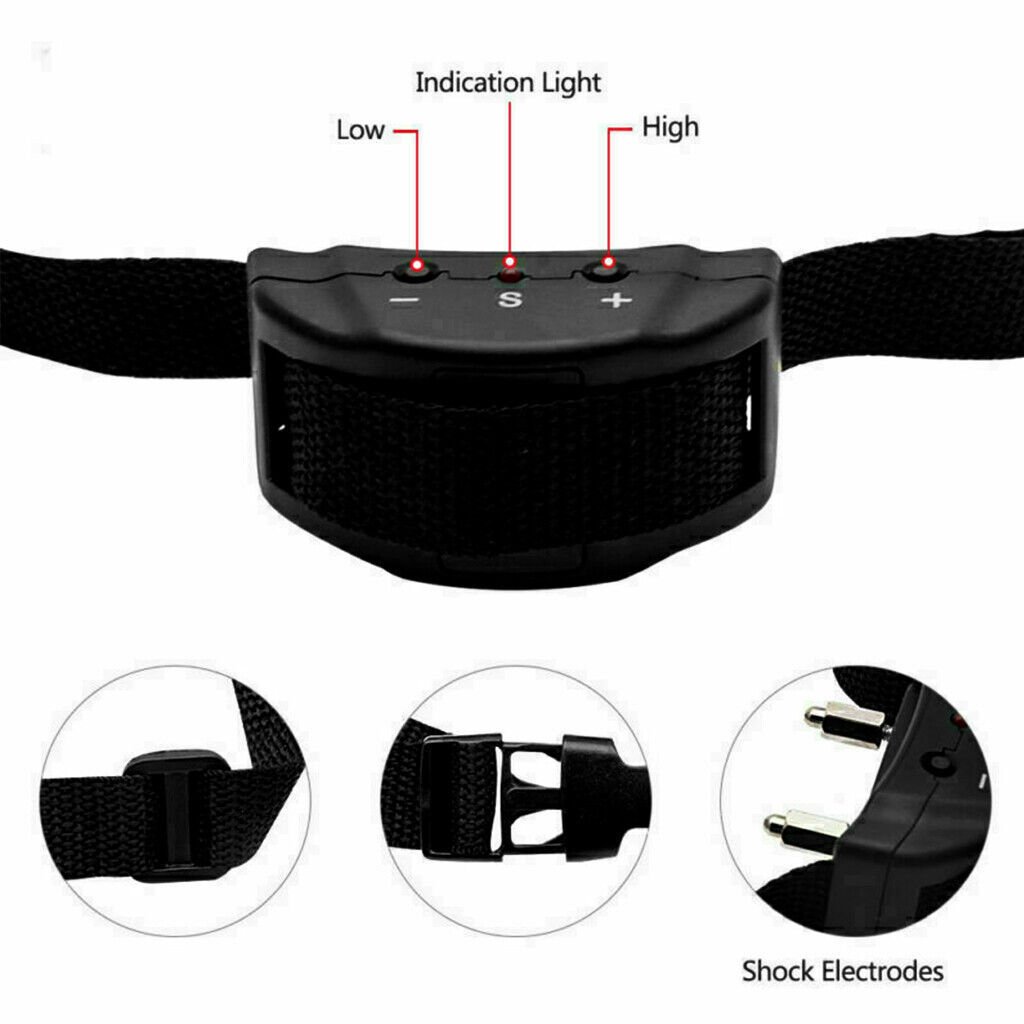 a20aa55c 7bb9 490d baa0 ea9c040f01ae.jpg a20aa55c 7bb9 490d baa0 ea9c040f01ae.jpg