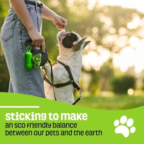 b3e12e1e 92fb 4447 81c8 2c9bed2bfaf8.jpg b3e12e1e 92fb 4447 81c8 2c9bed2bfaf8.jpg