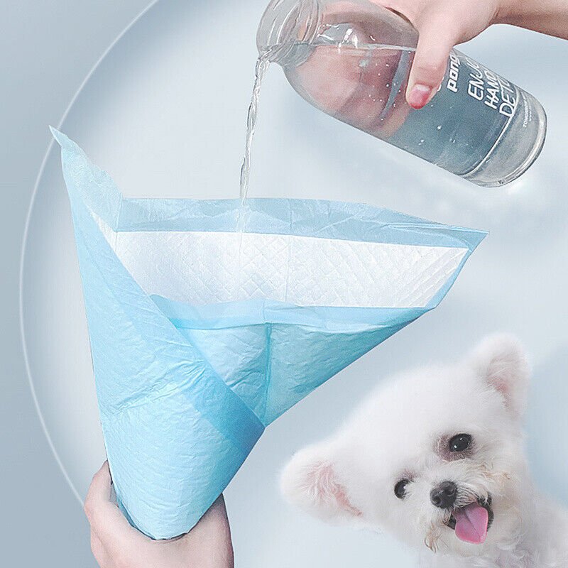 b747154d 0e8c 4b2b b451 19a20de62eb8.jpg b747154d 0e8c 4b2b b451 19a20de62eb8.jpg