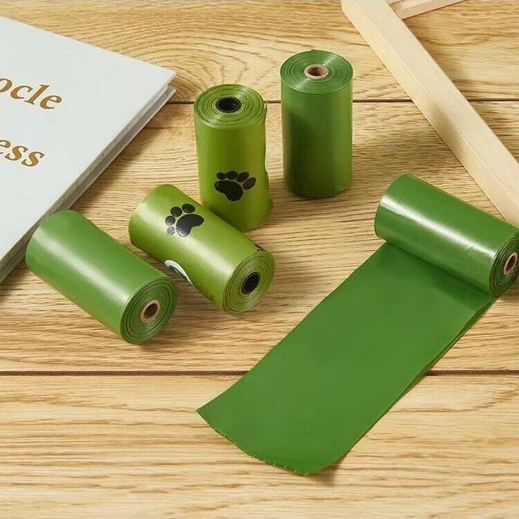 c5232b24 8d65 426e 9f5e b7910a3142d6.jpg c5232b24 8d65 426e 9f5e b7910a3142d6.jpg