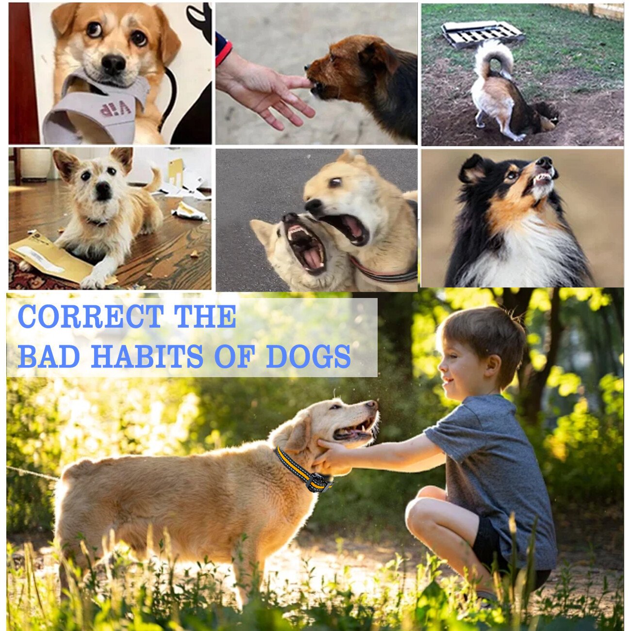 d6d21dbb 6cea 43b6 9475 a2e543156d51.jpg d6d21dbb 6cea 43b6 9475 a2e543156d51.jpg