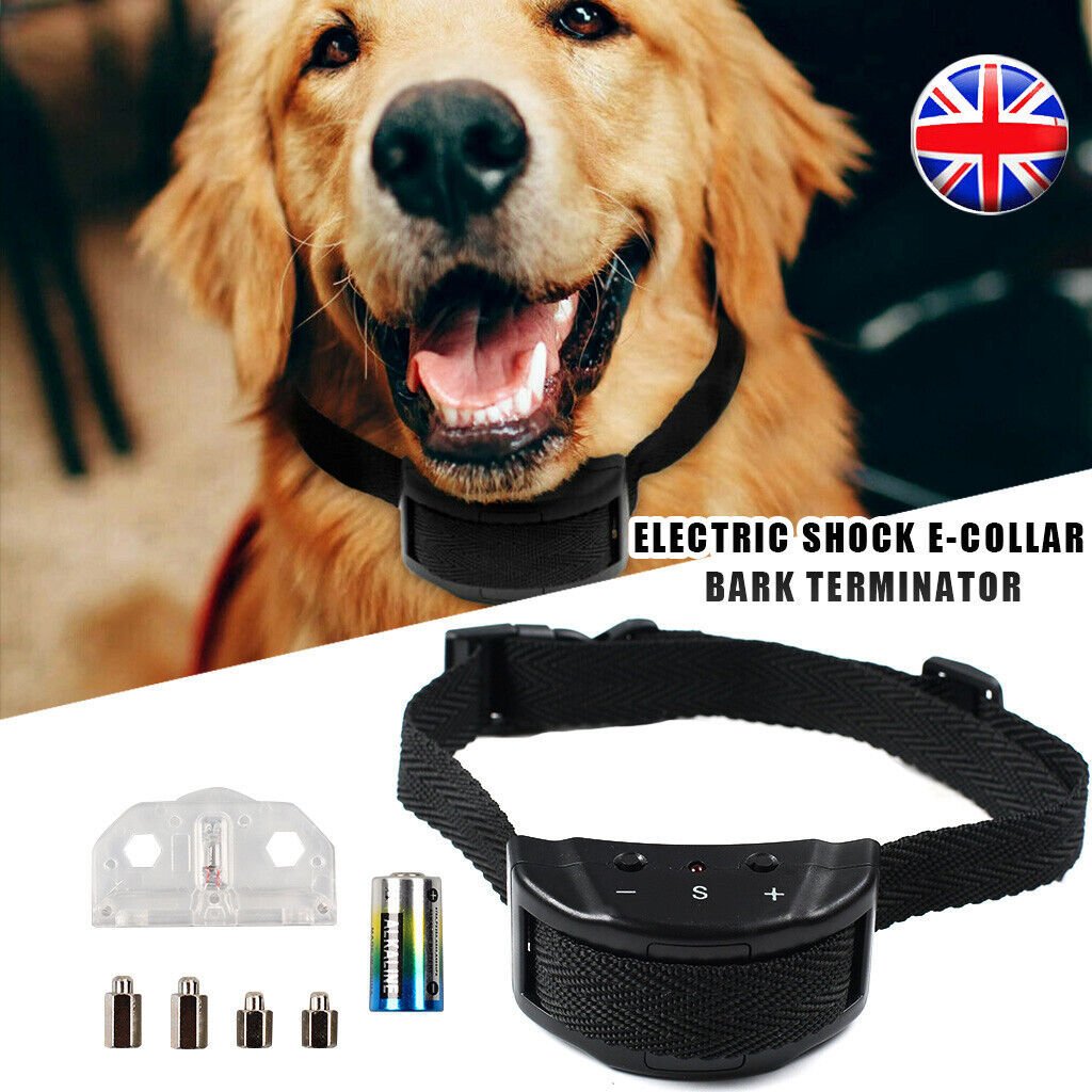 d9c3196e be75 4d6a a813 a1e42d9e9138.jpg d9c3196e be75 4d6a a813 a1e42d9e9138.jpg