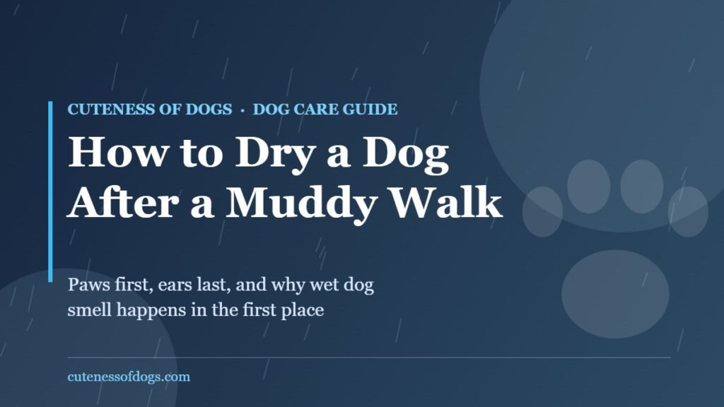 Guide title card reading How to Dry a Dog After a Muddy Walk, with rain streaks and a paw print on a dark blue background